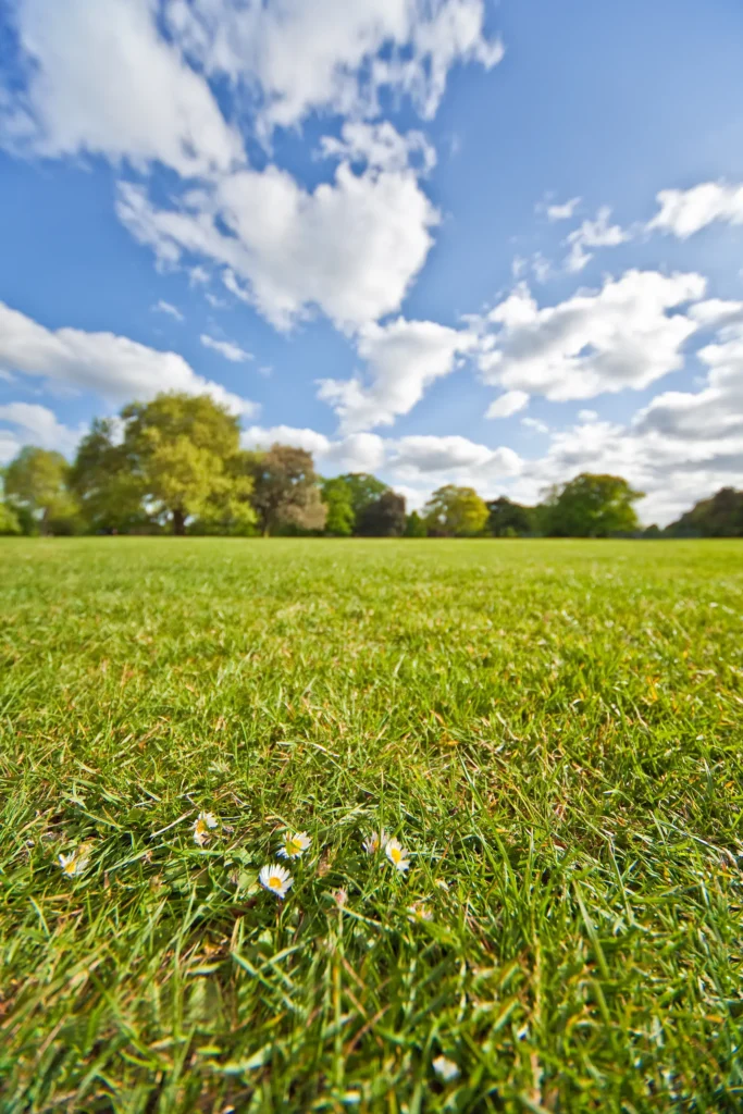 Chaque projet commence par une étude précise pour garantir une stratégie efficace.