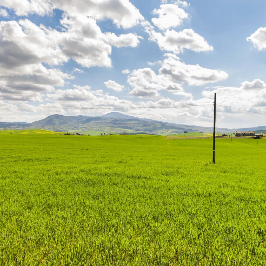 Terrain à diviser sur mesure