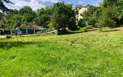 Contrat d’assistance et de conseil pour un terrain de 12 000m2 sur la commune de Revest-les-Roches (06)