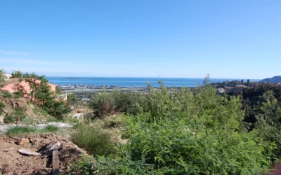 Contrat d’assistance et de conseil pour un terrain de 2500m2 sur la commune de Mandelieu La Napoule
