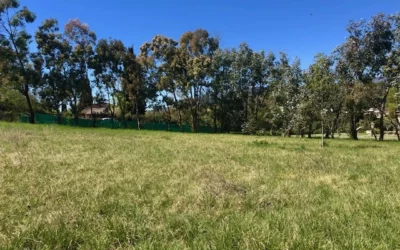 Donation-partage familiale pour une propriété avec deux bâtis d’environ 200m2 et 70m2 sur un terrain d’environ 1 hectare à Opio (06)
