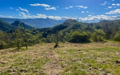 Contrat d’assistance et de conseil pour une propriété de 120m2 bâtie sur 1900m2 de terrain à La Colle-sur-Loup (06)