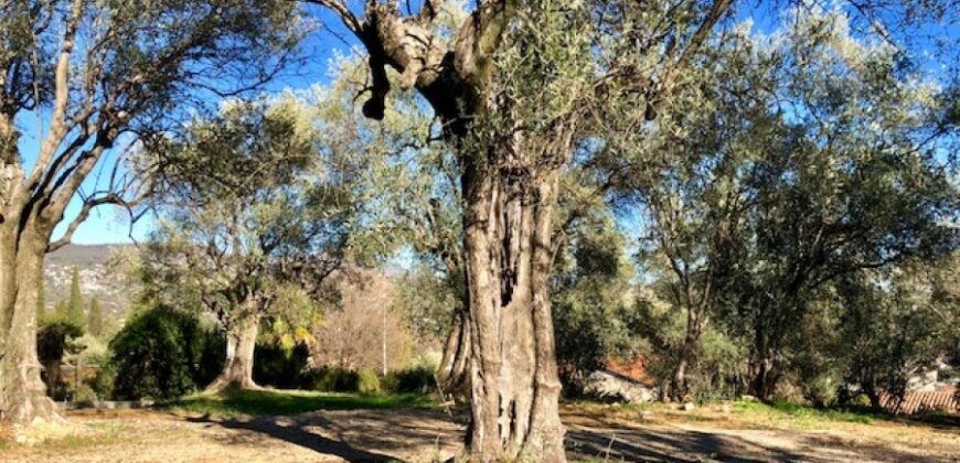 Achat terrain GRASSE (06) – GRASSE