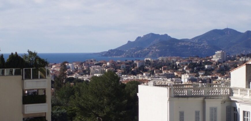 Terrain A vendre LE CANNET (06)