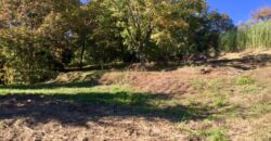  Rare terrain de plus de 2 hectares Vence Sud