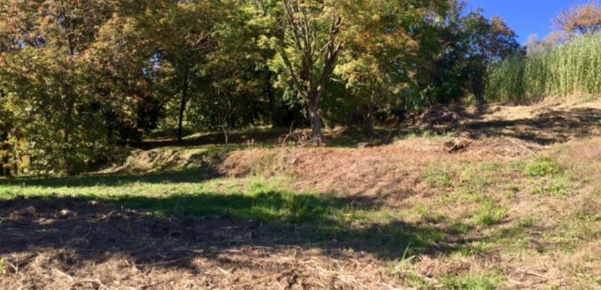  Rare terrain de plus de 2 hectares Vence Sud