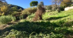  Rare terrain de plus de 2 hectares Vence Sud