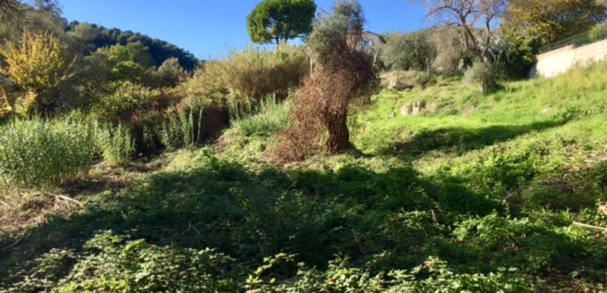  Rare terrain de plus de 2 hectares Vence Sud