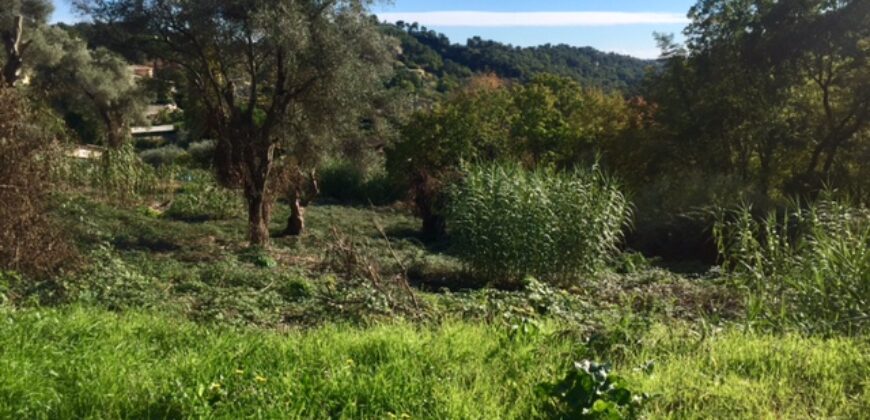  Rare terrain de plus de 2 hectares Vence Sud