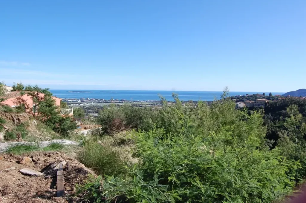 Re╠ualisation-MANDELIEU-1080x718