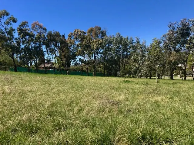 Re╠ualisation-Opio