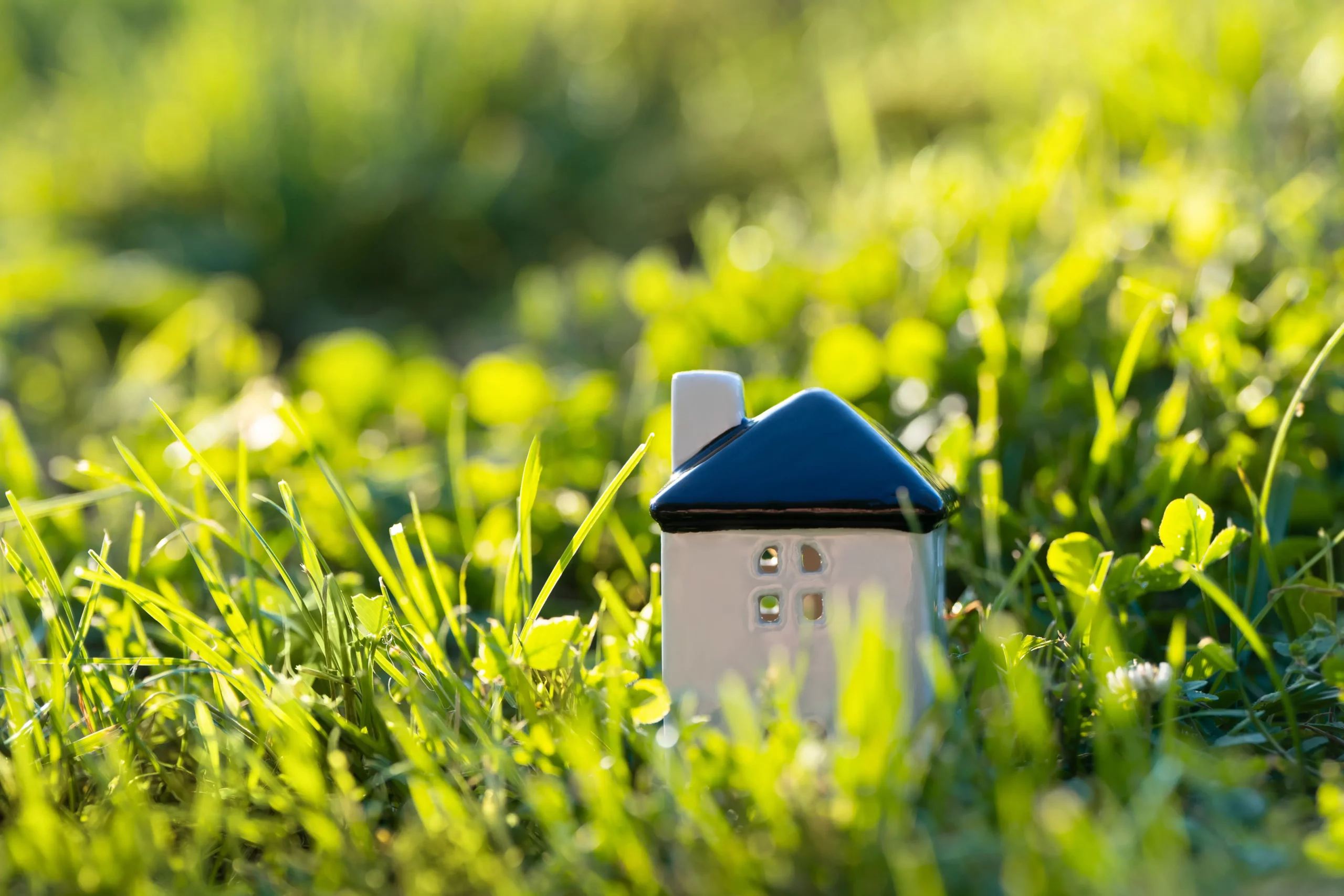 Faut-il diviser avant de vendre son terrain à Grasse ?