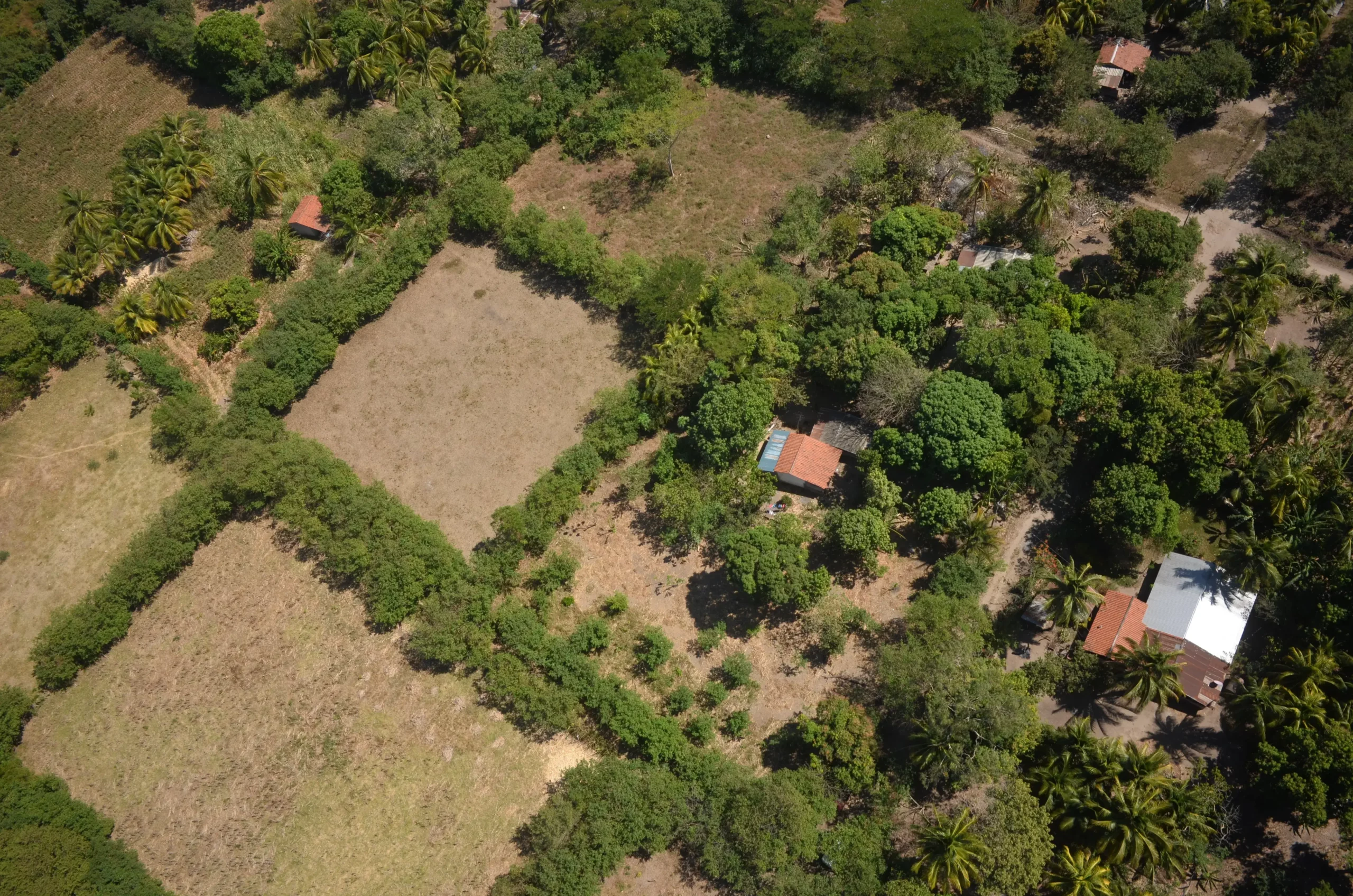 terrain zone agricole Grasse