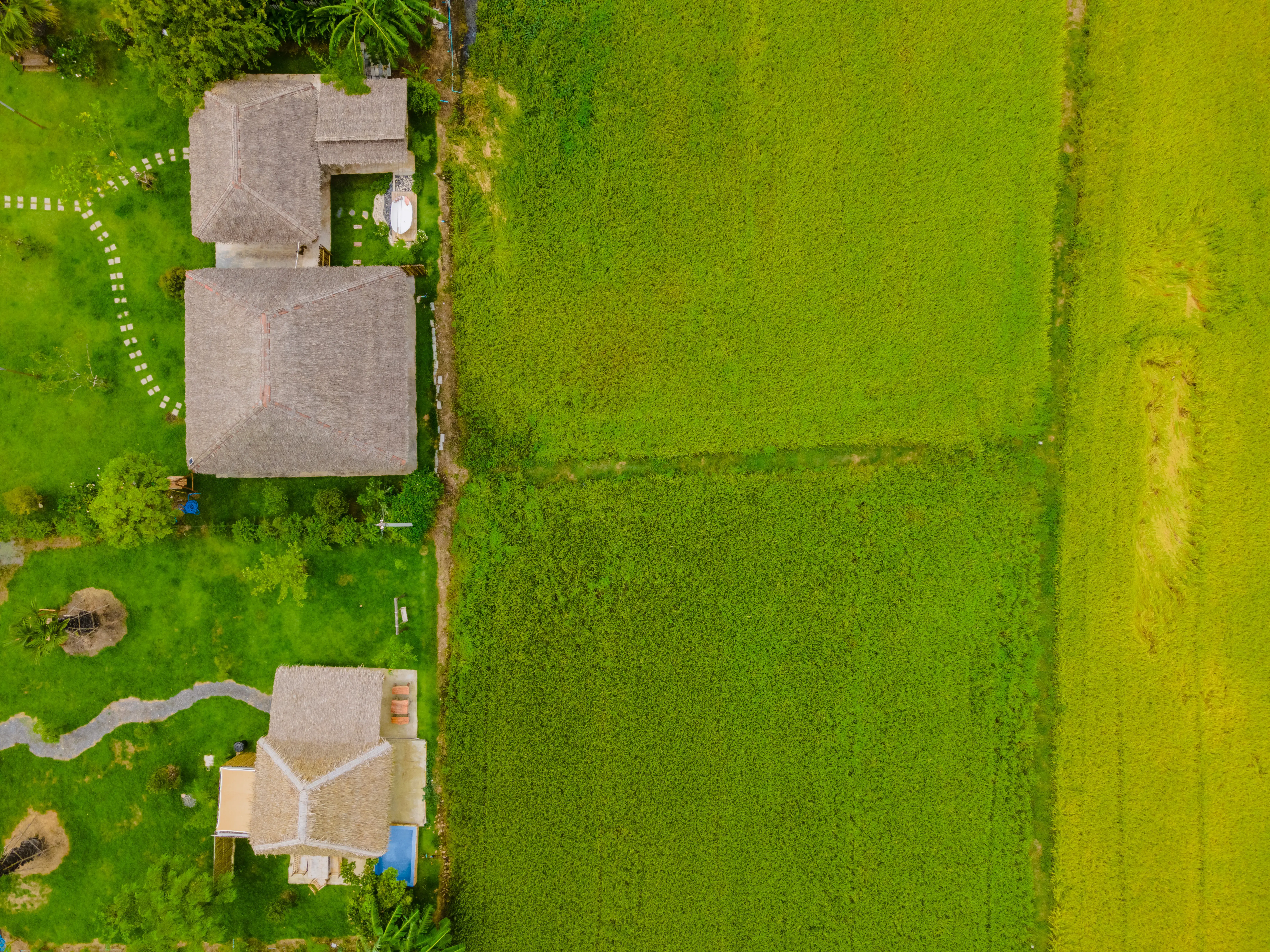 Vendre maison grand terrain : diviser ou vendre en bloc ?