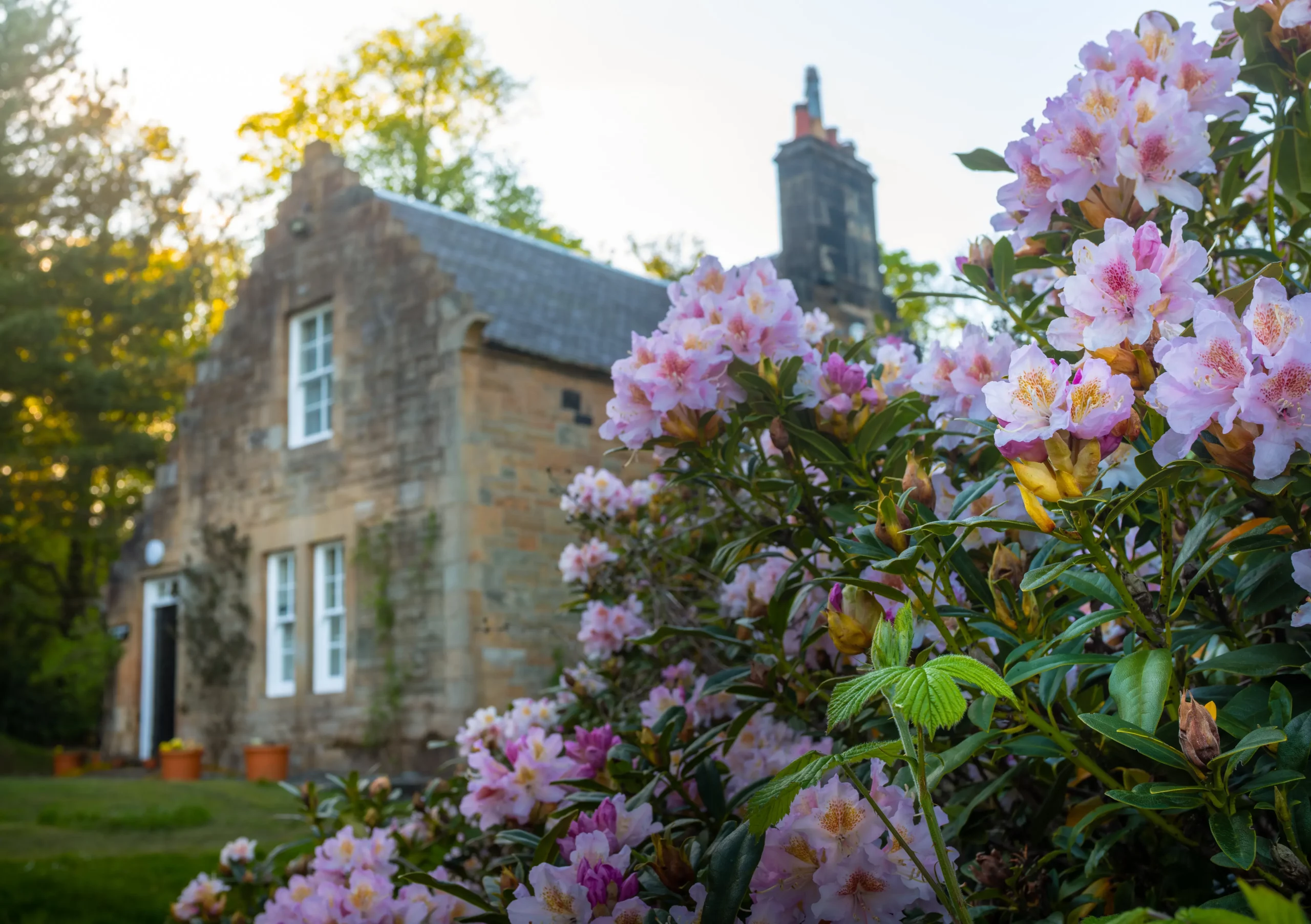 J&rsquo;ai hérité d&rsquo;une maison à Grasse : que faire du terrain ?